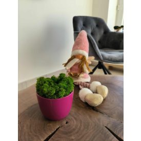 "Zuzmóöböl" - sötét rózsaszín kaspóban