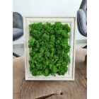 Kitámasztható vagy felakasztható világoszöld zuzmókép 