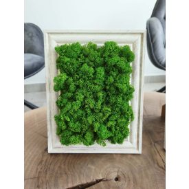   Kitámasztható vagy felakasztható világoszöld zuzmókép 