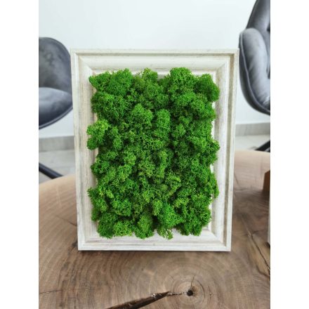 Kitámasztható vagy felakasztható világoszöld zuzmókép 