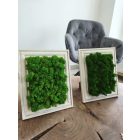 Kitámasztható vagy felakasztható világoszöld zuzmókép 