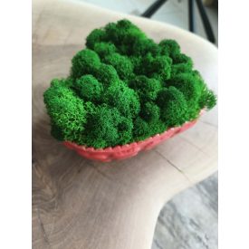   "Zuzmó love" - sötét zöld zuzmó SZÍV alakú kaspóban