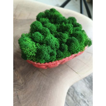 "Zuzmó love" - sötét zöld zuzmó SZÍV alakú kaspóban