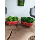 "Zuzmó love" - sötét zöld zuzmó SZÍV alakú kaspóban