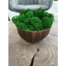   "Zuzmóöböl" - kókuszdió tálban sötétzöld zuzmó