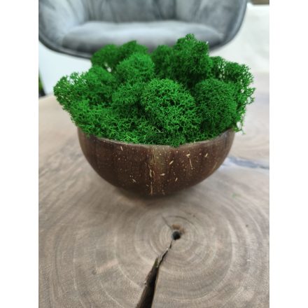 "Zuzmóöböl" - kókuszdió tálban sötétzöld zuzmó