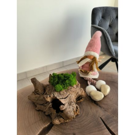 "Zuzmóláva" - valódi fában világoszöld zuzmó