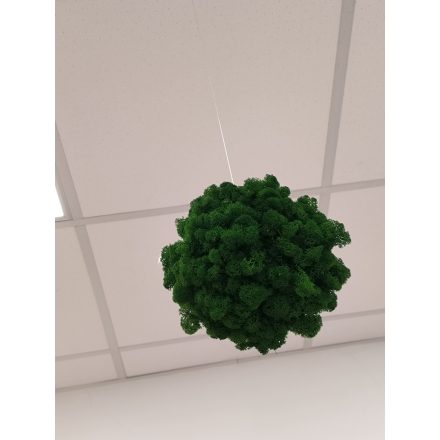 "Sötétzöld zuzmógömb" (kb. 18 - 20 cm átmérővel - 2,5 m erős damillal)