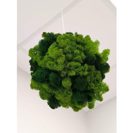   "Sötét és világos zuzmógömb" (kb. 18 - 20 cm átmérővel - 2,5 m erős damillal)