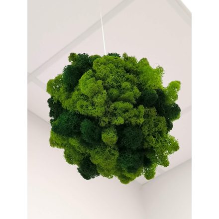 "Sötét és világos zuzmógömb" (kb. 18 - 20 cm átmérővel - 2,5 m erős damillal)