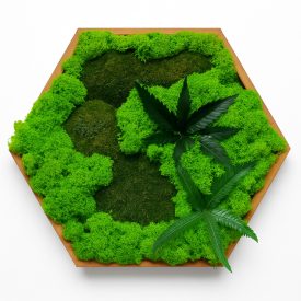 "Mohába zárva" - Hatszögletű mohakép 30 cm