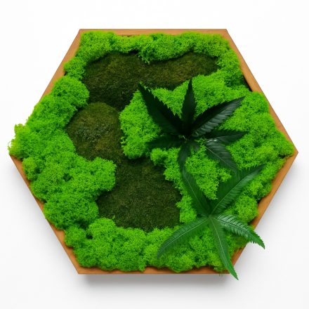 "Mohába zárva" - Hatszögletű mohakép 30 cm