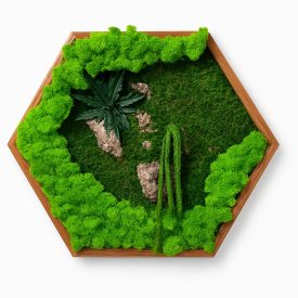 "Páfrányliget" - Hatszögletű mohakép 40 cm