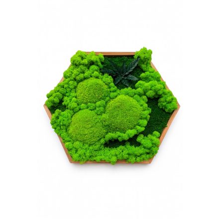 "Erdőrészlet" - Hatszögletű mohakép 50 cm