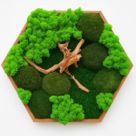 "Az élet fája" - Hatszögletű mohakép 50 cm