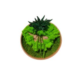 "Páfrányfelhő" - Kör mohakép 30 cm