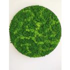 "Zöld varázs" - kör alakú zuzmókép 70 cm