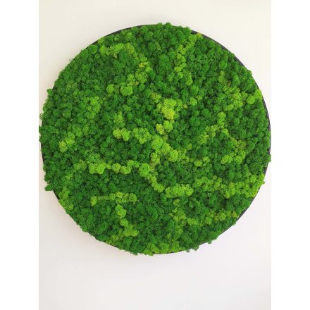 "Zöld varázs" - kör alakú zuzmókép 70 cm