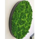 "Zöld varázs" - kör alakú zuzmókép 70 cm