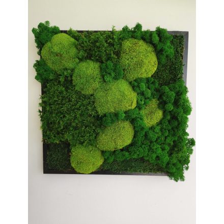 "Zöld varázslat" - négyzet alakú zuzmókép 40 cm