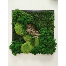   "Erdő mélyén" - négyzet alakú zuzmókép 40 cm