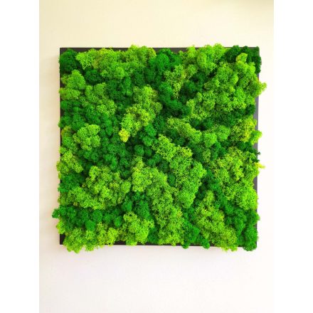 "Zöld lélegzet" - négyzet zuzmókép 40 cm