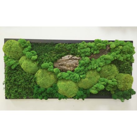 "Az erdő varázsa" - Téglalap alakú zuzmókép 75 cm