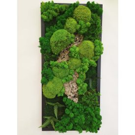 "Belső csend" - téglalap alakú zuzmókép 75 cm