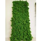 GEMINI zuzmó falpanel - EGYEDI MÉRET SZERINT 