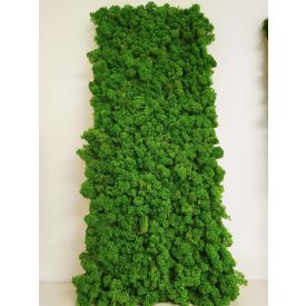 GEMINI zuzmó falpanel - EGYEDI MÉRET SZERINT 