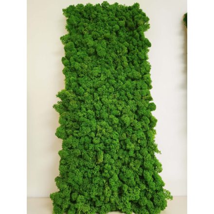 GEMINI zuzmó falpanel - EGYEDI MÉRET SZERINT 