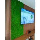 GEMINI zuzmó falpanel - EGYEDI MÉRET SZERINT 