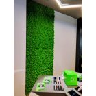 GEMINI zuzmó falpanel - EGYEDI MÉRET SZERINT 