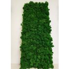 GEMINI zuzmó falpanel - EGYEDI MÉRET SZERINT 