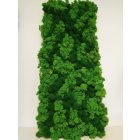 GEMINI zuzmó falpanel - EGYEDI MÉRET SZERINT 