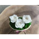 Zuzmóbox tartósított, valódi rózsával - fehér szín