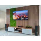 Világoszöld zuzmó