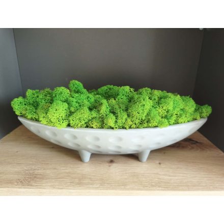 "Zuzmó csónak" - fehér tálban világoszöld zuzmó