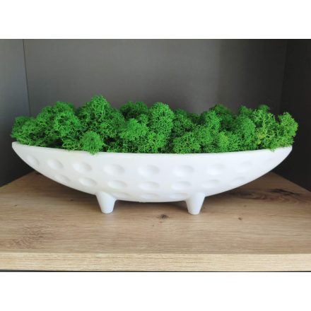 "Zuzmó csónak" - fehér tálban sötétzöld zuzmó