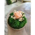 "Rózsa álom" - bézs kerámiatálban 