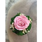 "Rózsa álom" - bézs kerámiatálban 