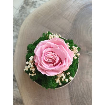 "Rózsa álom" - bézs kerámiatálban 