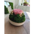 "Rózsa álom" - bézs kerámiatálban 