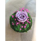 "Rózsa álom" - bézs kerámiatálban