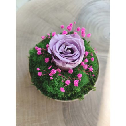 "Rózsa álom" - bézs kerámiatálban