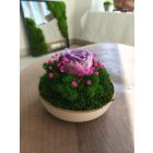 "Rózsa álom" - bézs kerámiatálban