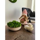 "Zuzmó oázis" - bézs színű kerámiatálban világoszöld zuzmó