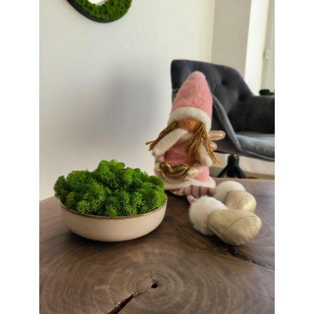 "Zuzmó oázis" - bézs színű kerámiatálban világoszöld zuzmó