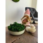 "Zuzmó oázis" - halványzöld színű kerámiatálban világoszöld zuzmó