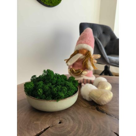 "Zuzmó oázis" - halványzöld színű kerámiatálban világoszöld zuzmó